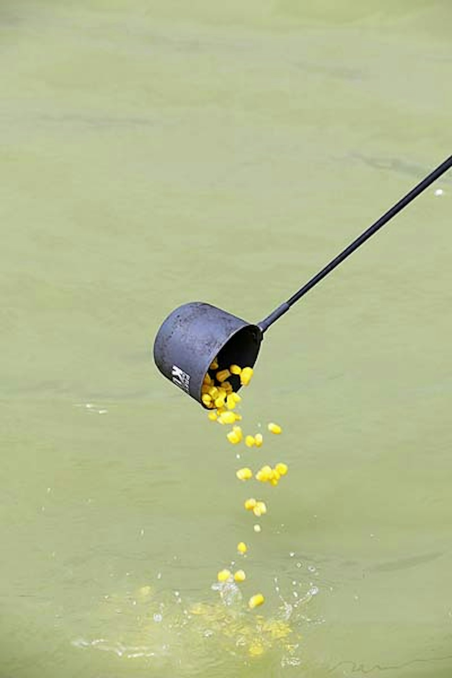 CARP FISHING TIPS  10 TRICKS TO HELP YOU CATCH CARP ON THE FLOAT