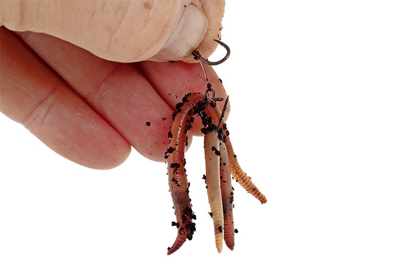 STEP 4. HAIR-RIG YOUR WORMS 