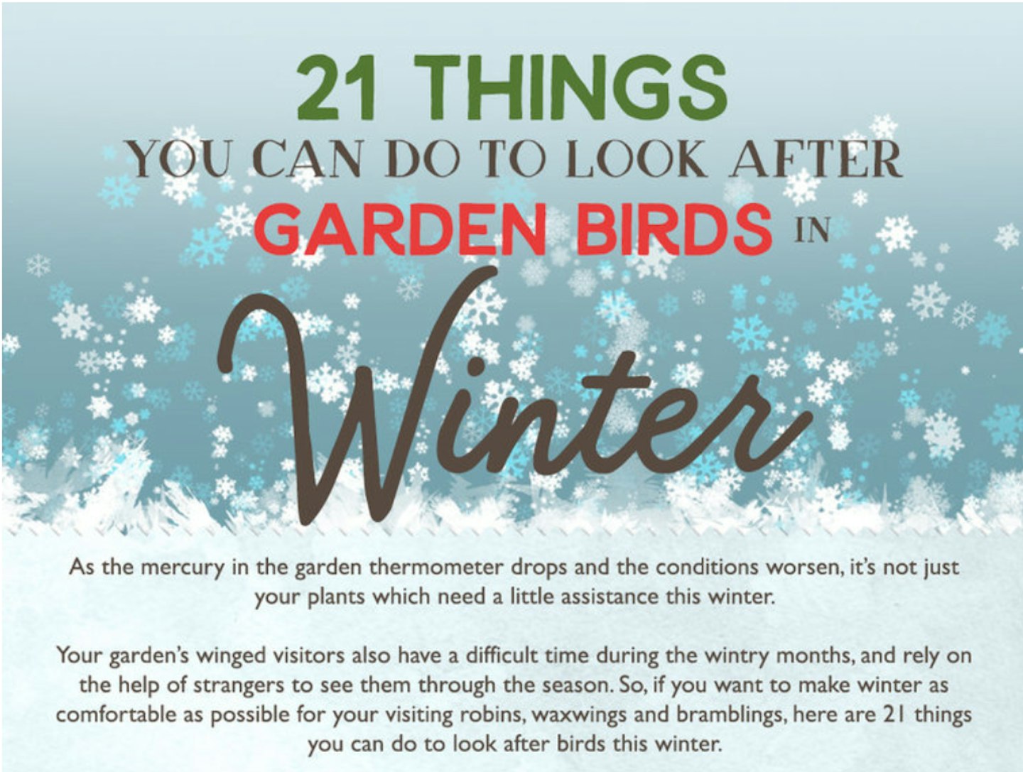 Tips For Looking After Garden Birds In Winter
