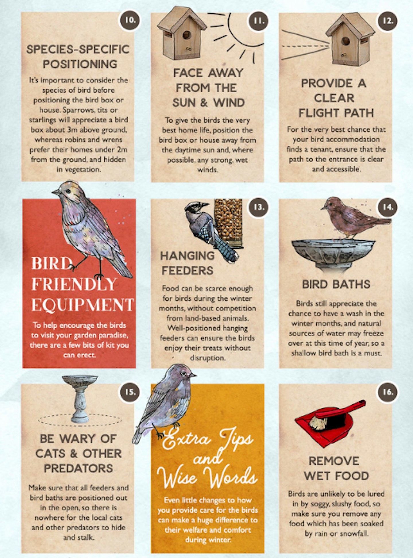 Tips For Looking After Garden Birds In Winter