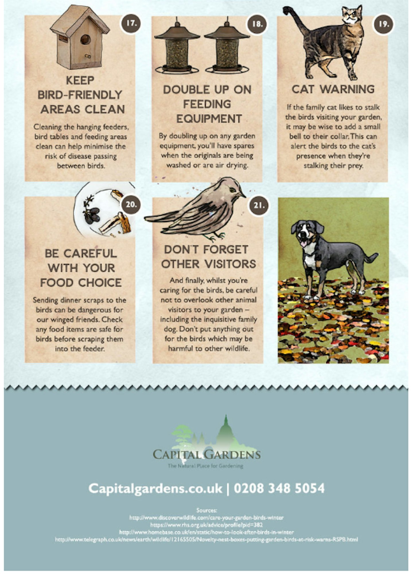 Tips For Looking After Garden Birds In Winter