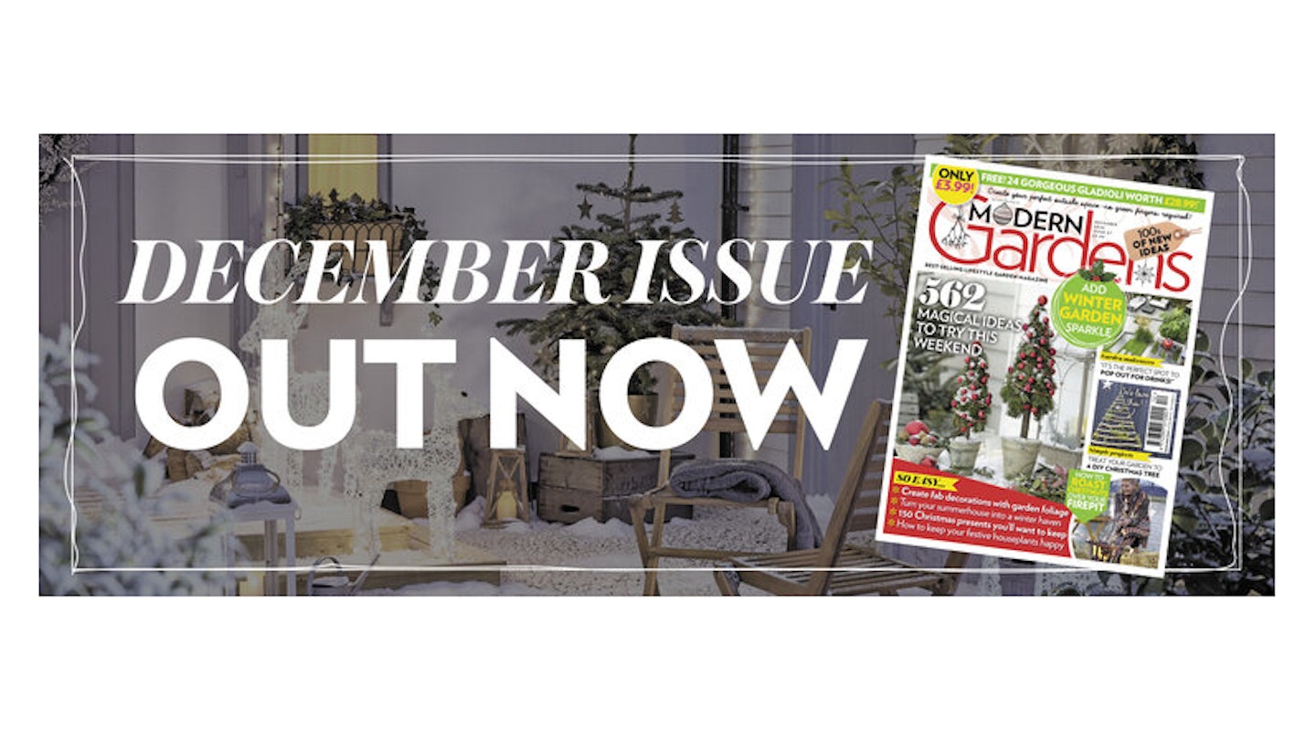 December Issue - Out Now!