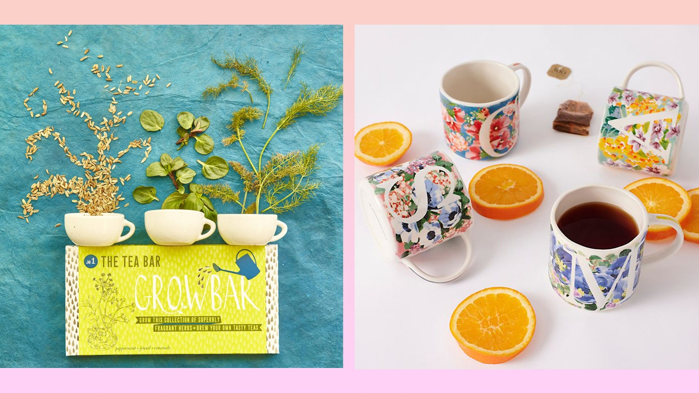 tea growbar and tea mugs the best gifts for tea lovers