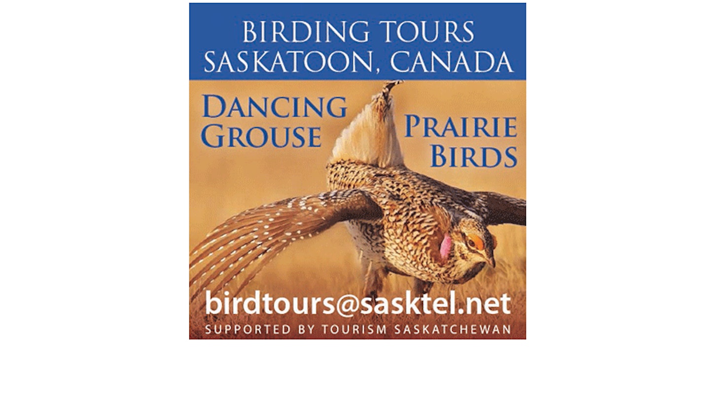 SASKATOON, CANADA: BIRDING TOURS