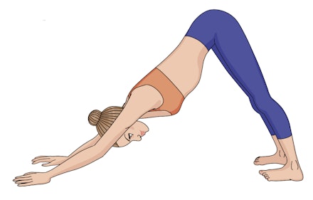 Ease yourself upright, with yoga | Garden Answers Ease yourself upright, with yoga | Garden Answers