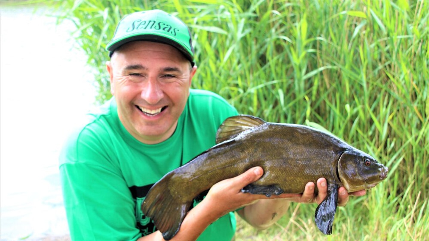 Fat roach, rudd and tench are far more satisfying 