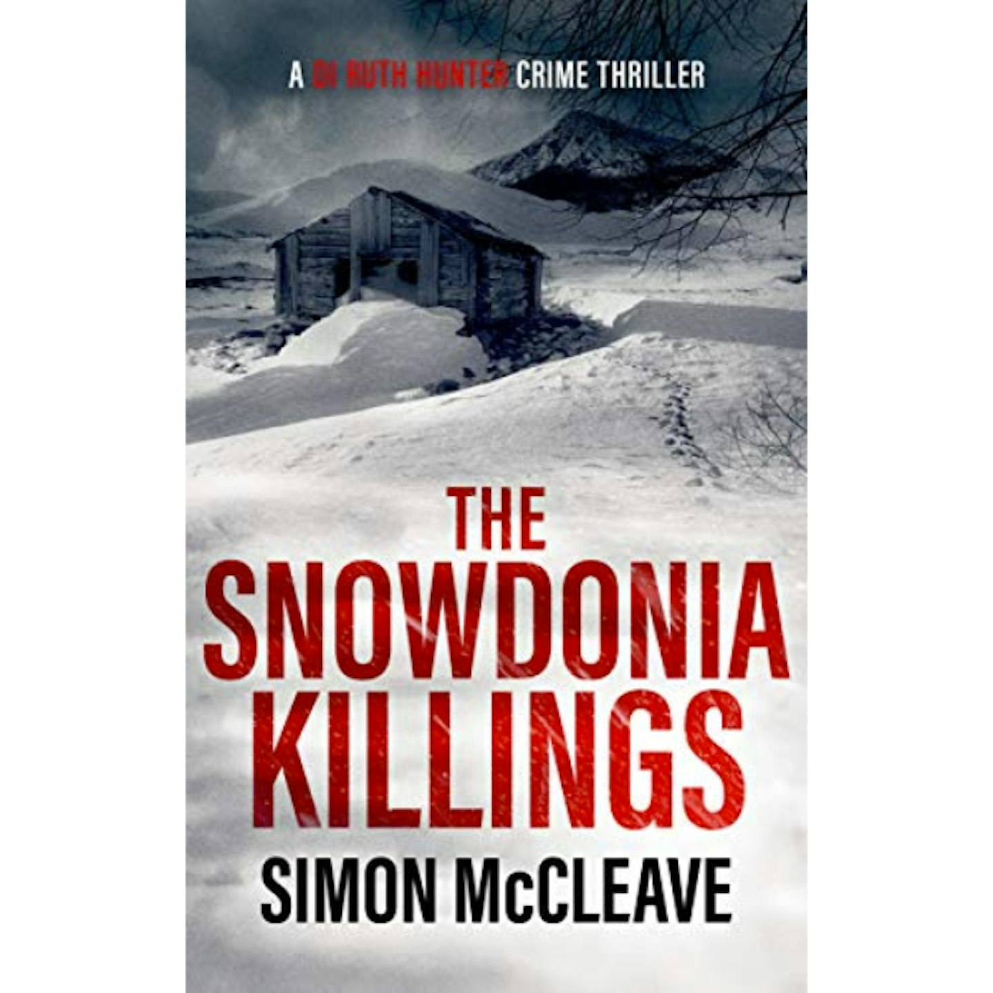 The Snowdonia Killings by Simon McCleave