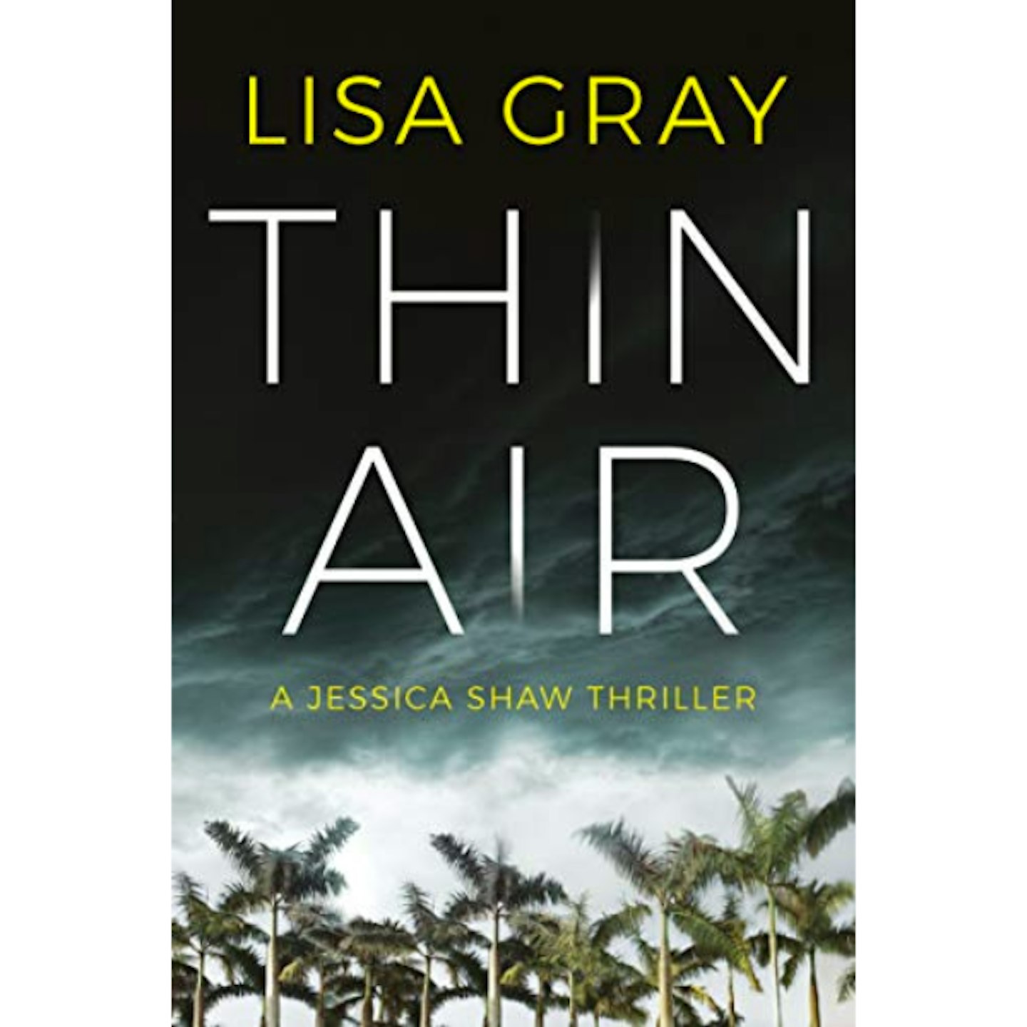 Thin Air by Lisa Gray