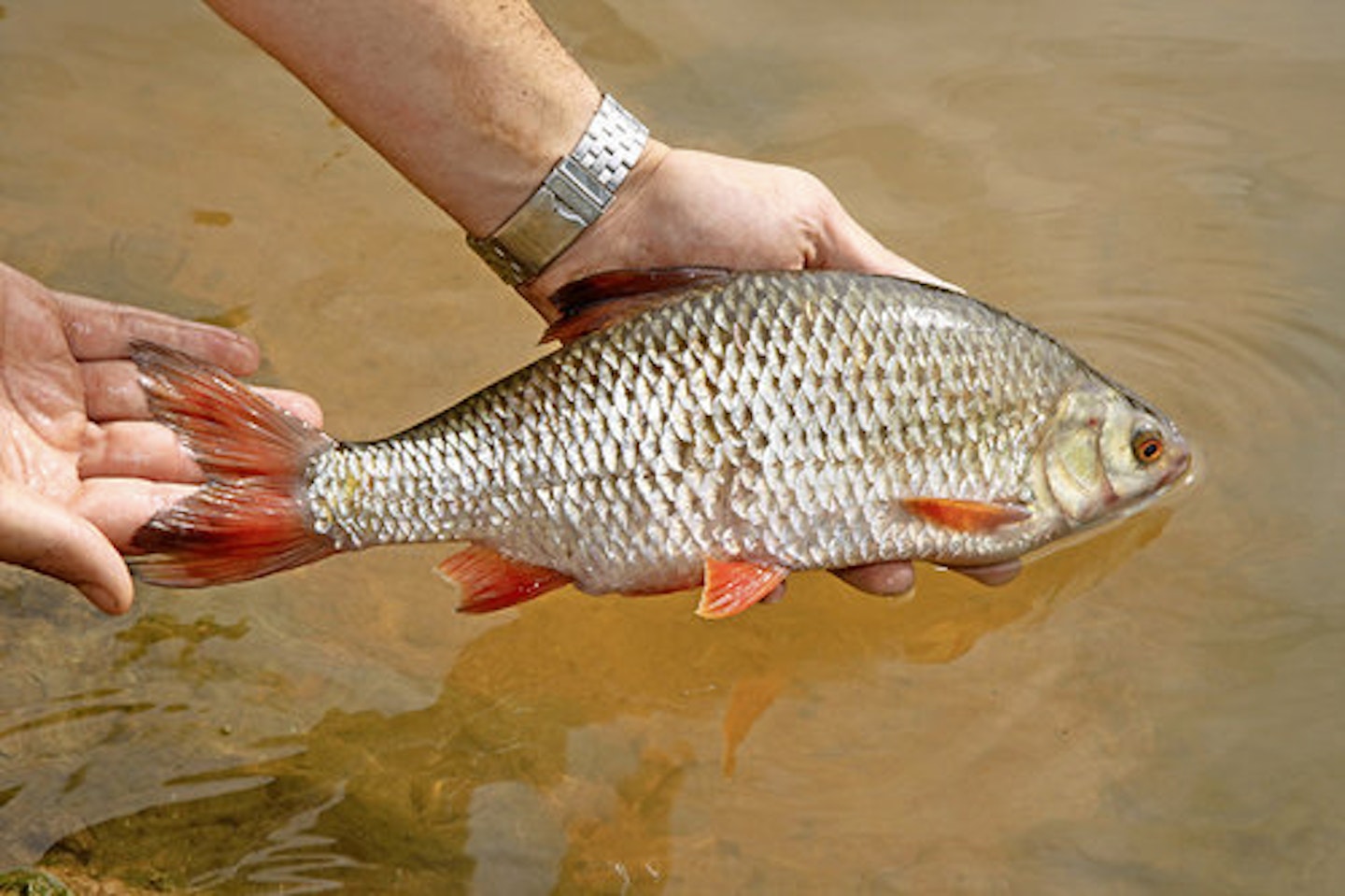 20 FISHING TIPS THAT WILL HELP YOU THINK MORE LIKE A FISH
