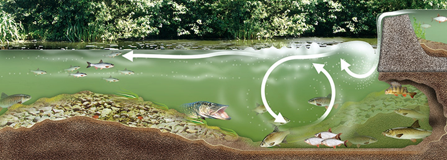 YOUR GUIDE TO FISHING A WEIR POOL