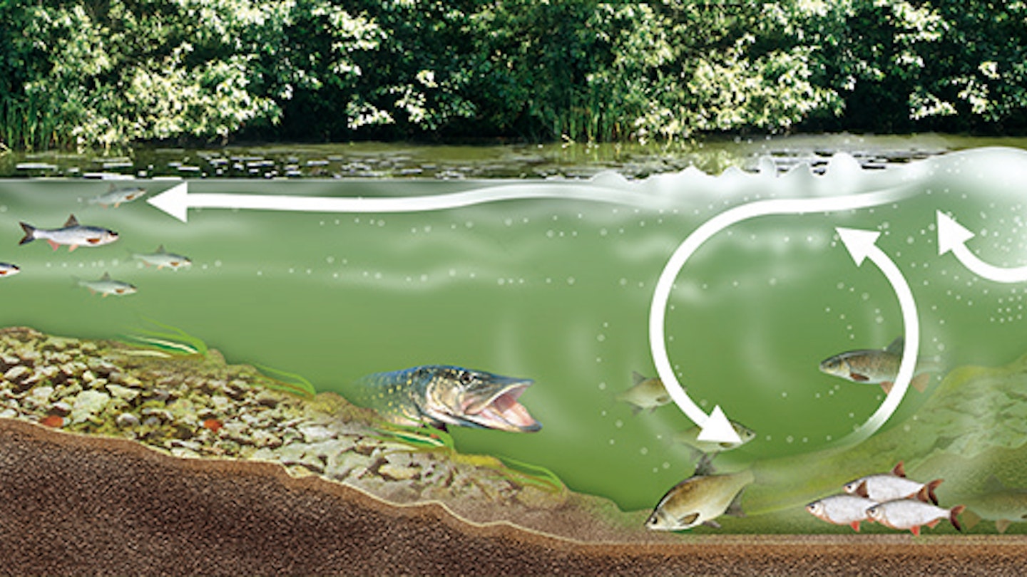 YOUR GUIDE TO FISHING A WEIR POOL