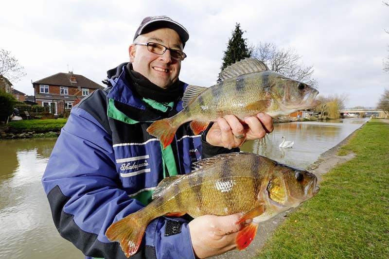 perch worms