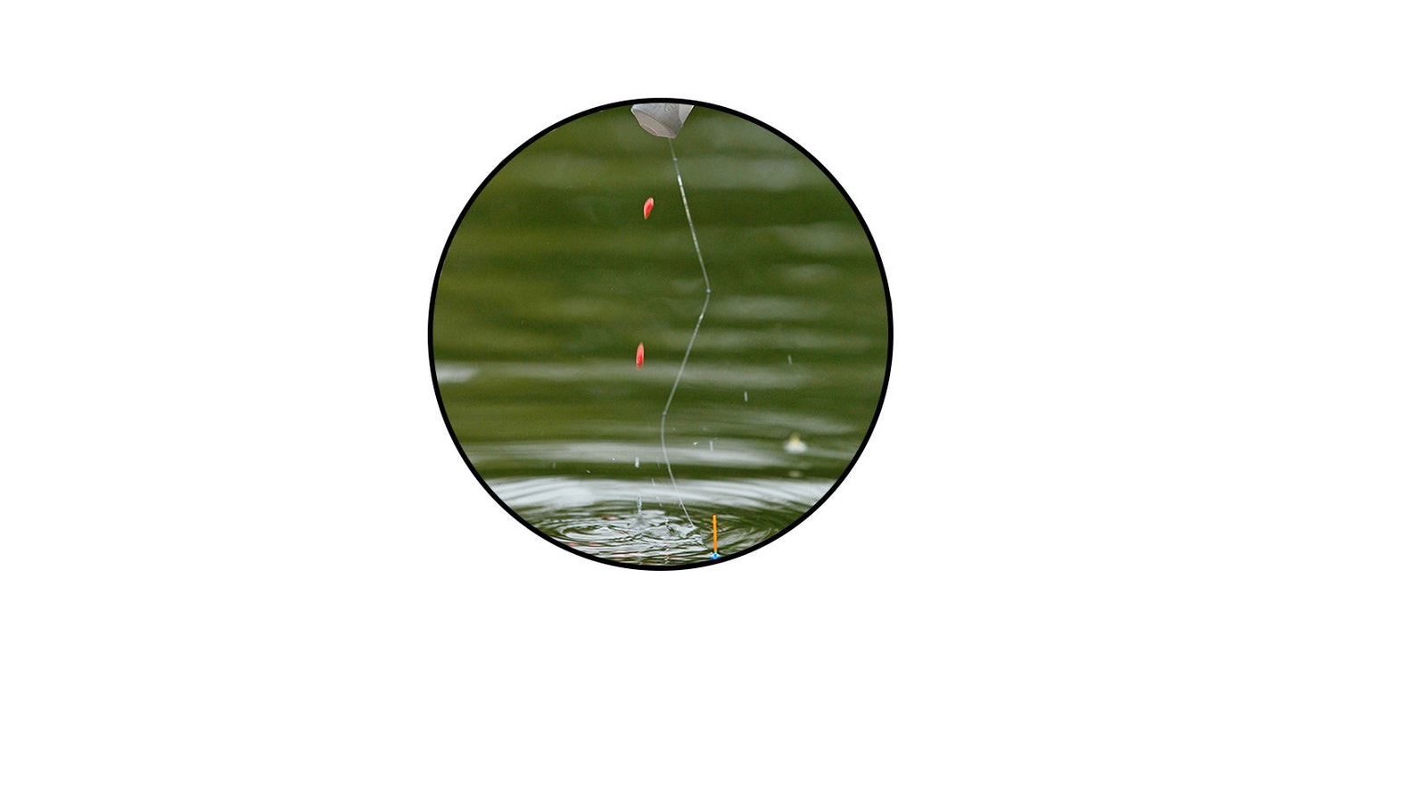 8 TIPS TO HELP YOU CATCH MORE FISH | Angling Times