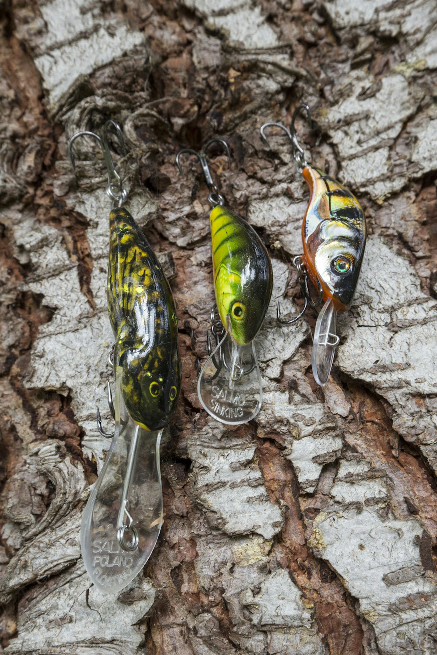 How to fish creature bait lures for big perch