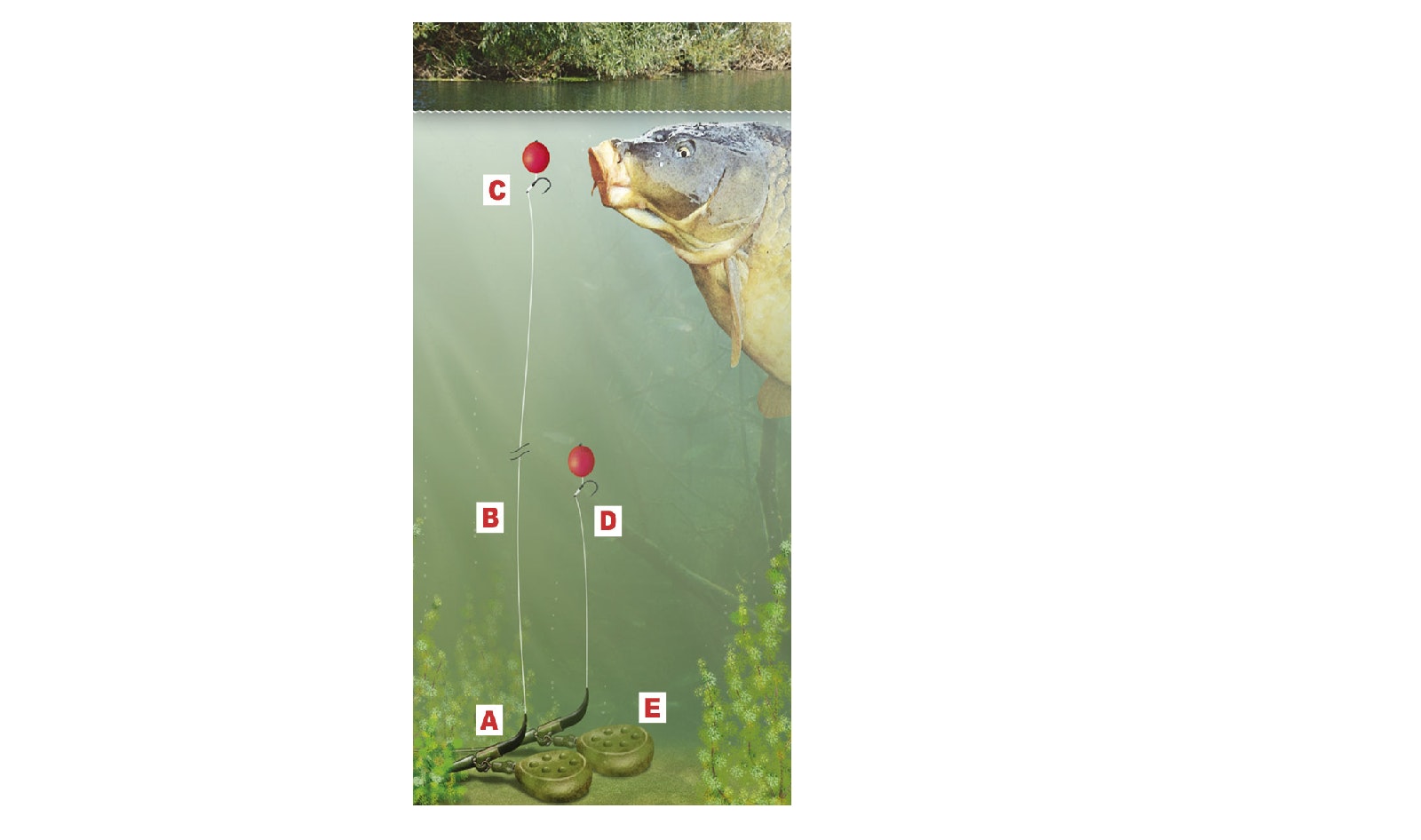 HOW TO TIE A ZIG RIG TO CATCH CARP MID-WATER
