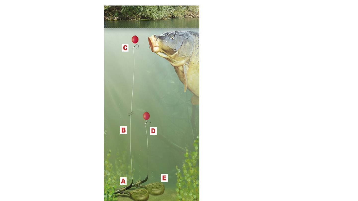 Making Carp Rig How To Make A Simple Carp Rig