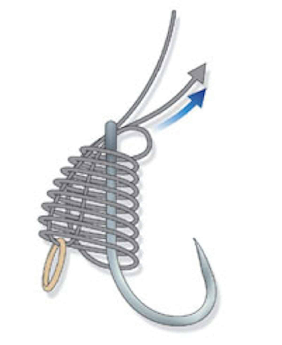 HOW TO TIE THE BANDED KNOTLESS KNOT Angling Times