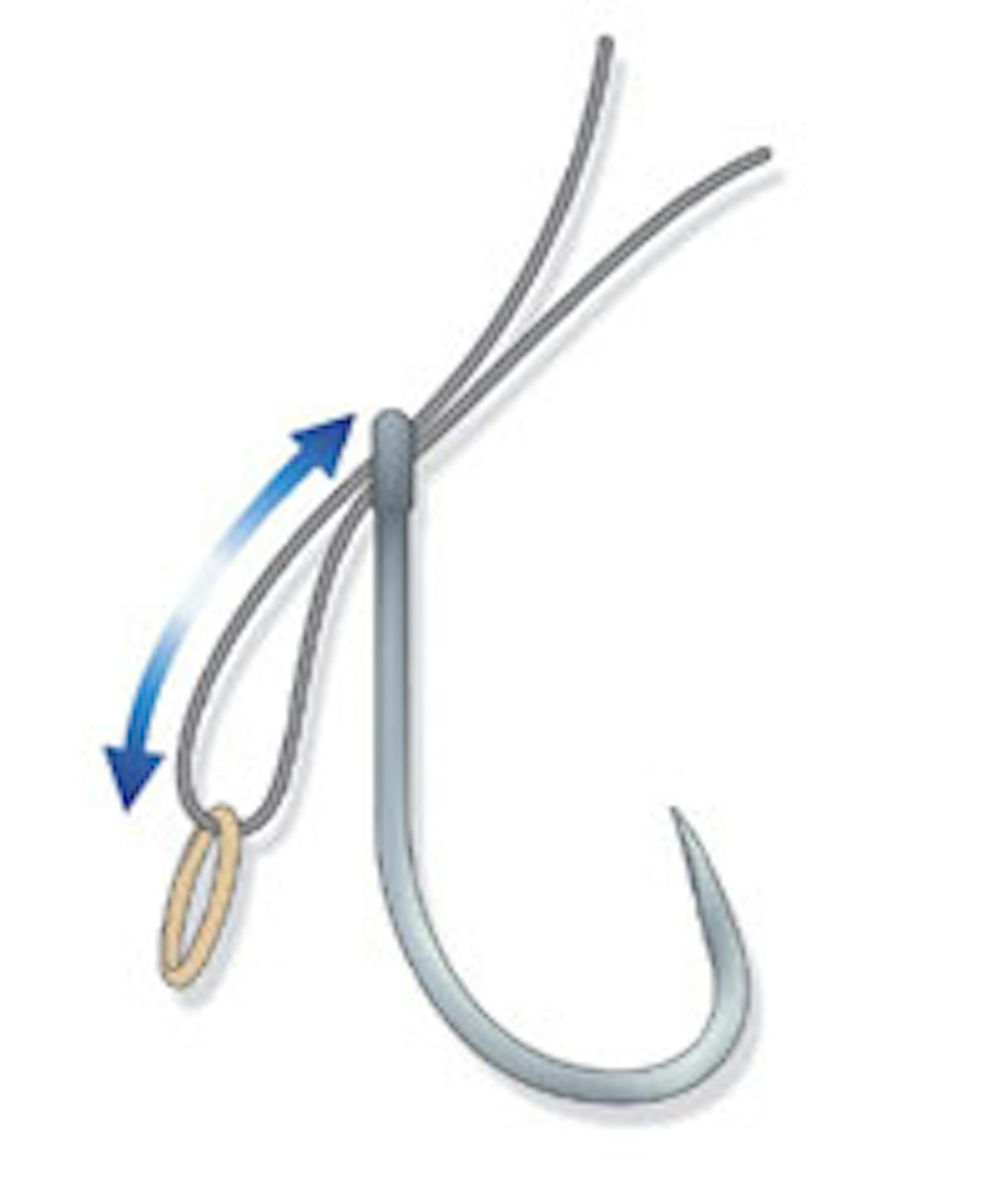 HOW TO TIE THE BANDED KNOTLESS KNOT Angling Times