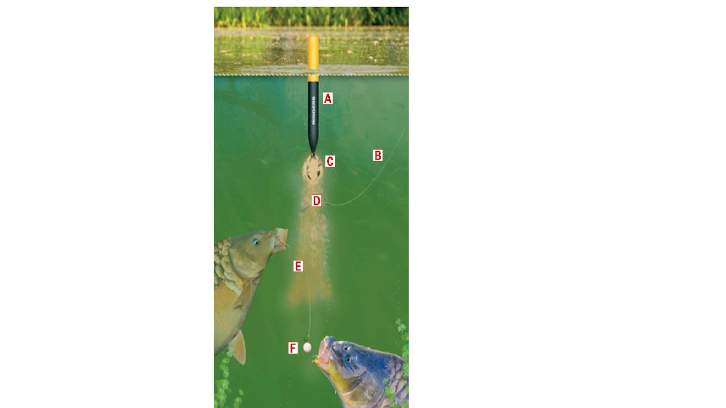 Making Carp Rig How To Make Carp Pole Rigs