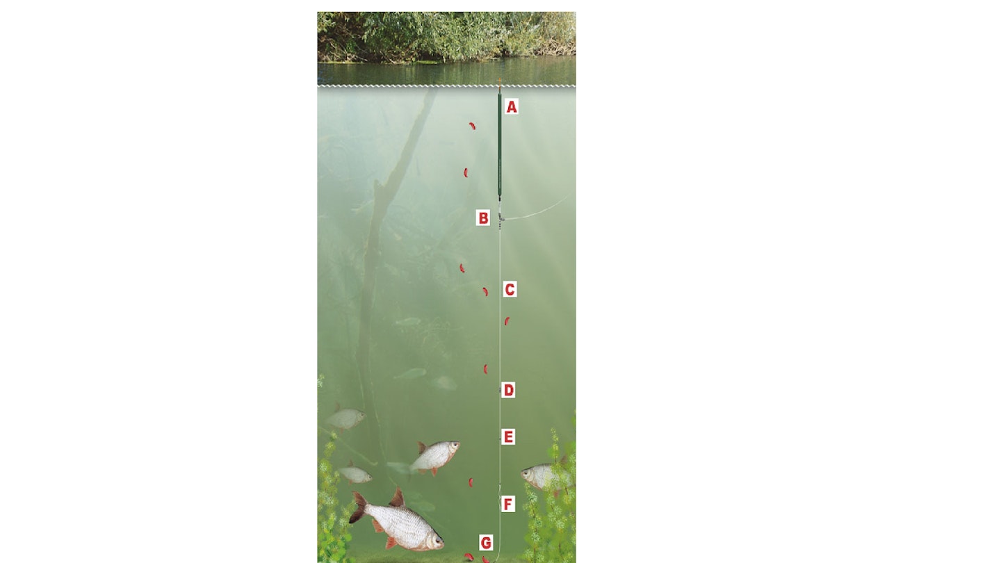 SIMPLE WAGGLER RIG TO CATCH FISH OVERDEPTH | Angling Times