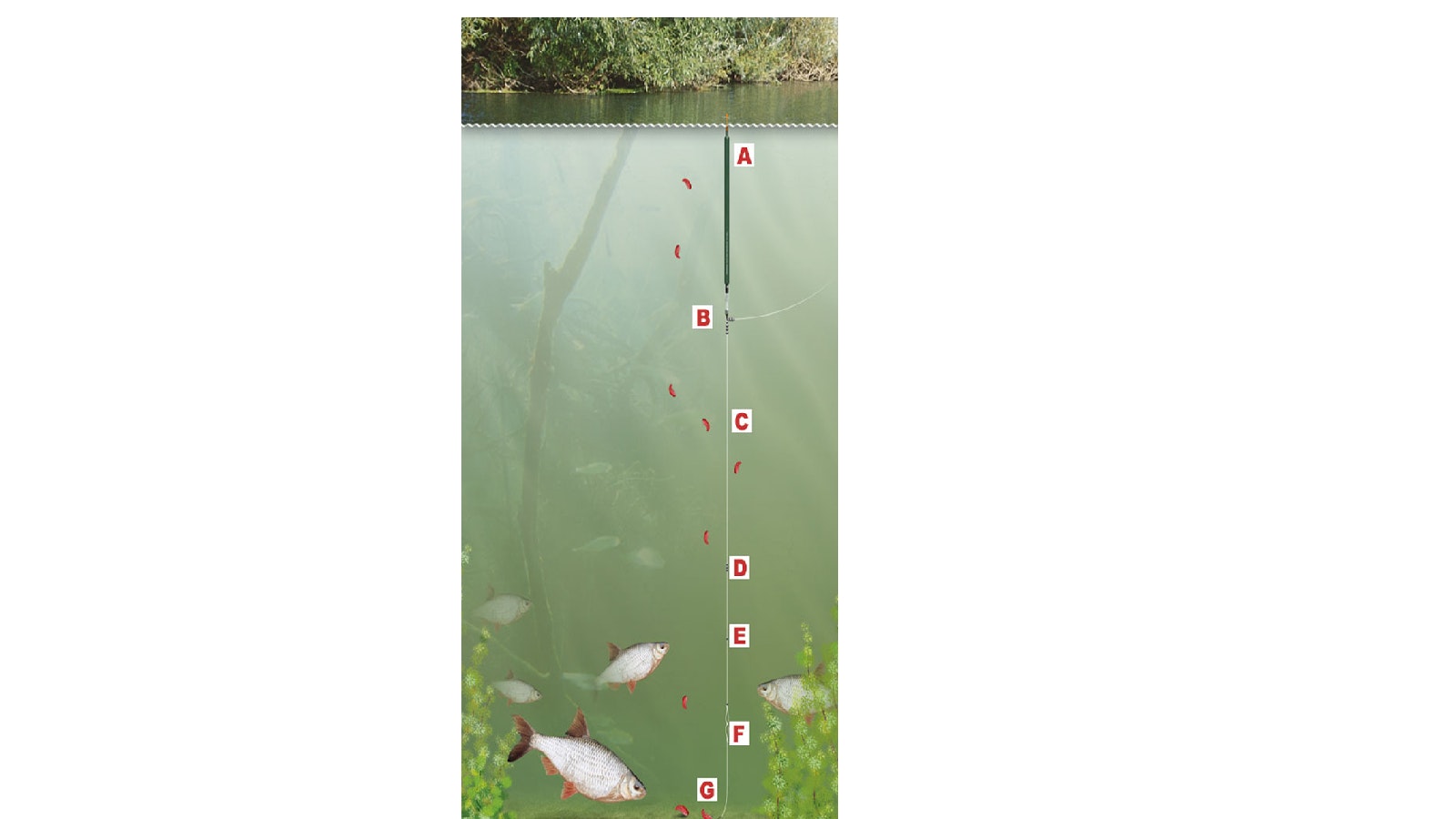 SIMPLE WAGGLER RIG TO CATCH FISH OVERDEPTH | Angling Times