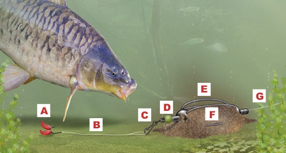 IN-LINE METHOD FEEDER RIG FOR CARP, BREAM AND TENCH