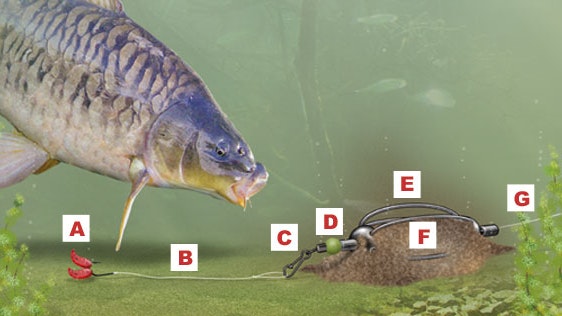 IN-LINE METHOD FEEDER RIG FOR CARP, BREAM AND TENCH