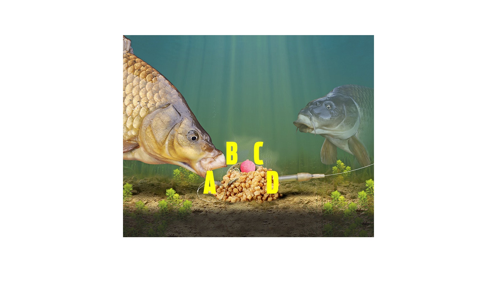 HOW TO TIE A METHOD FEEDER RIG FOR CARP FISHING Angling Times