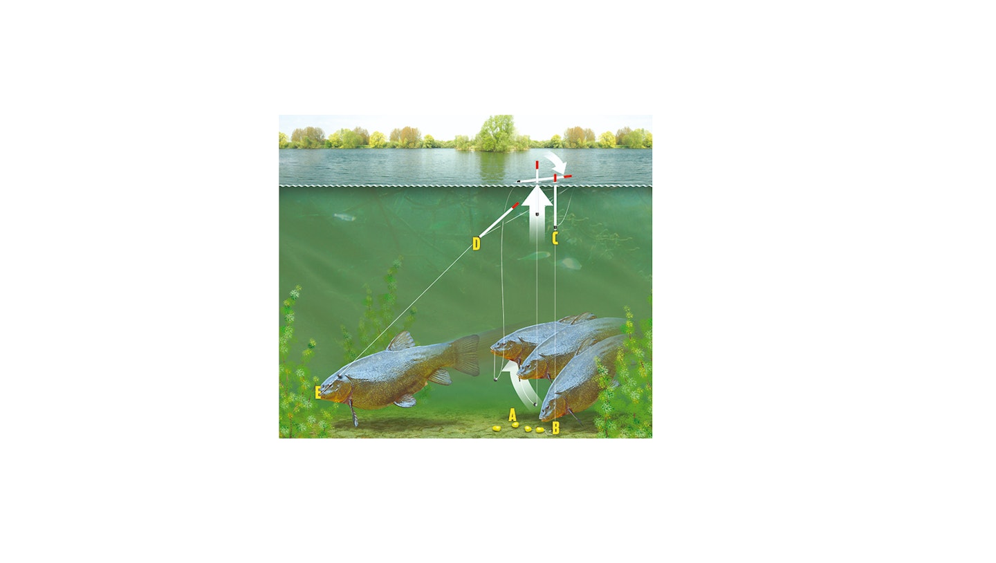THE LIFT METHOD FOR TENCH FISHING