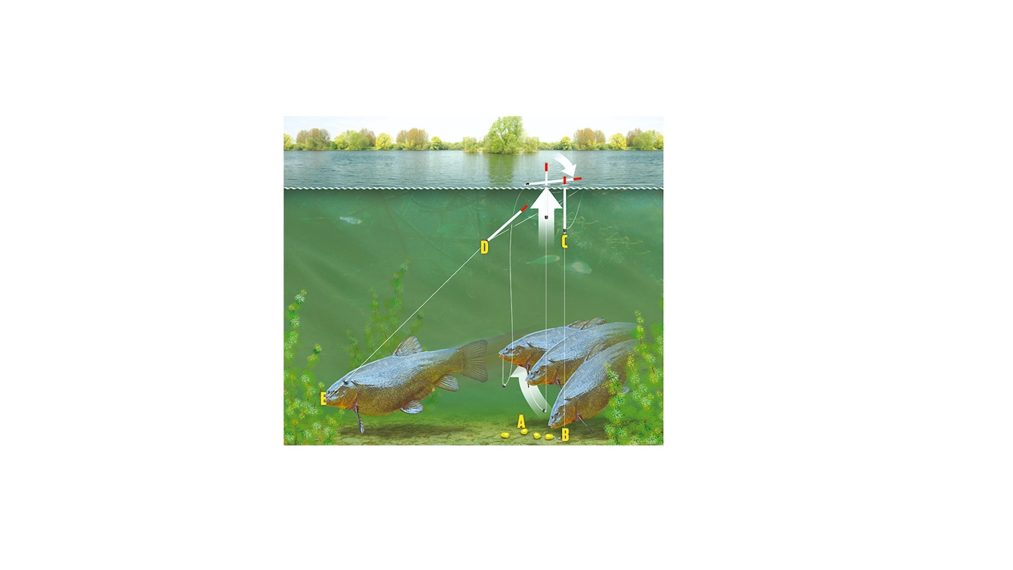 THE LIFT METHOD FOR TENCH FISHING