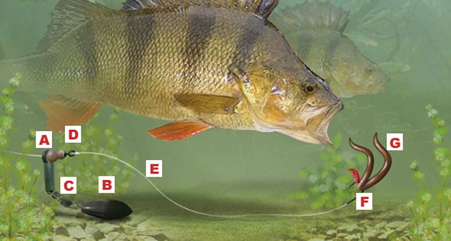 RESISTANCE-FREE RUNNING RIG FOR BIG PERCH