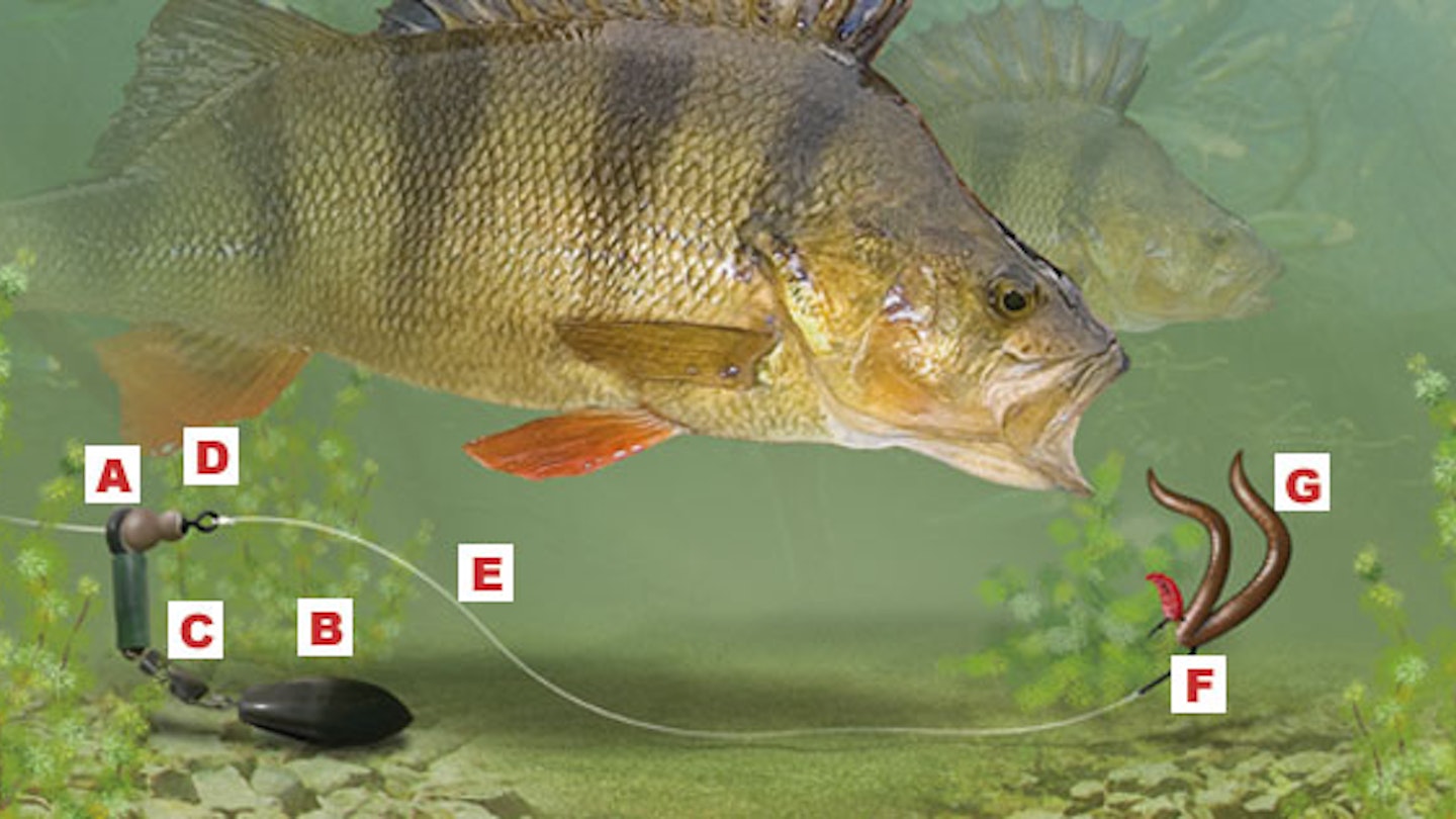RESISTANCE-FREE RUNNING RIG FOR BIG PERCH | Angling Times