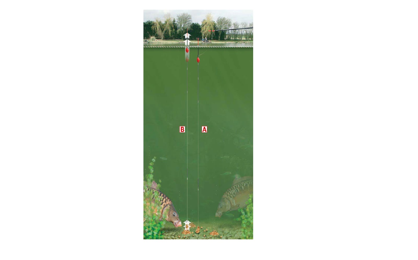 AT.png?format=jpg&quality=80&width=960&height=540&ratio=169&resize