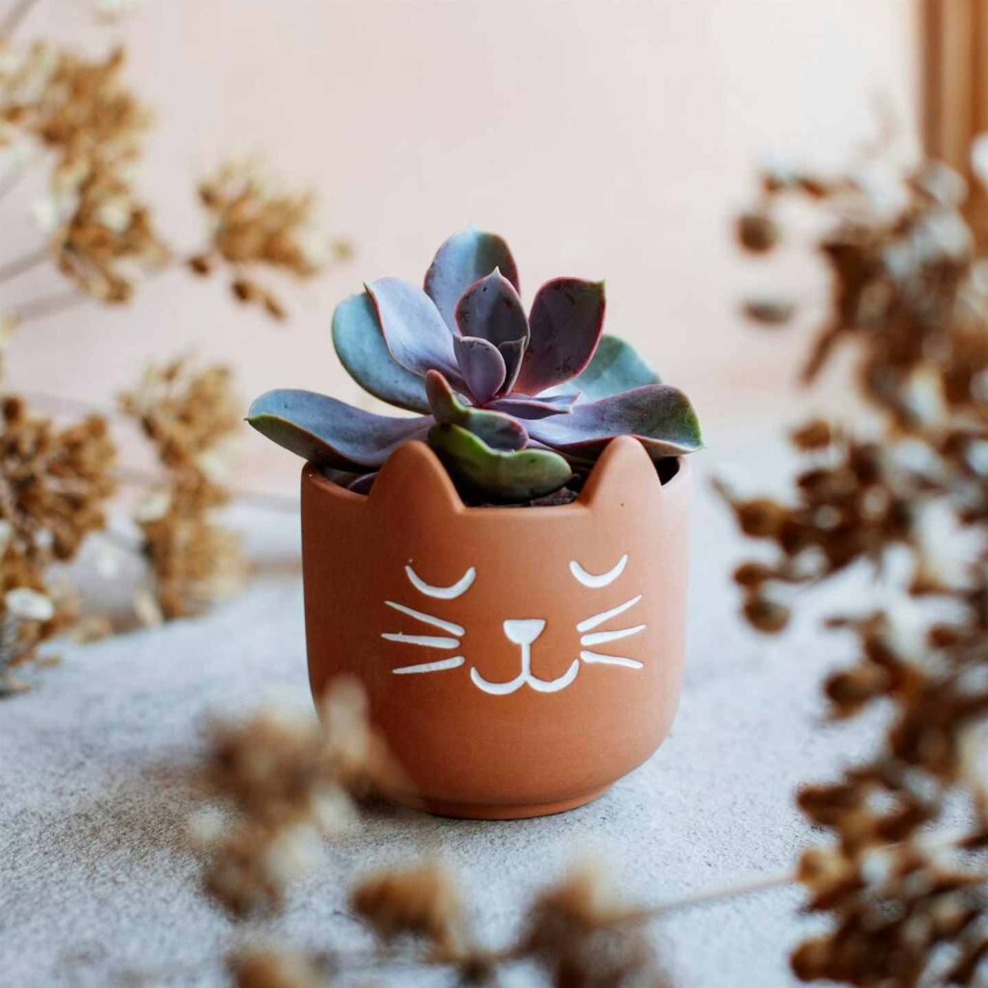 Terracotta Cat Planter With A Succulent