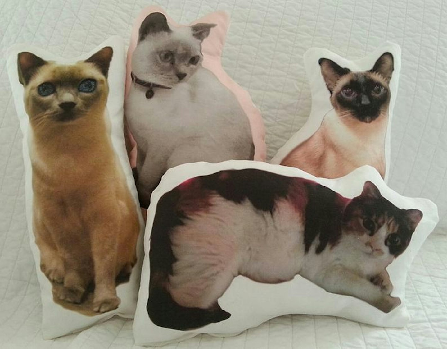 Custom Pet Photo Pillow