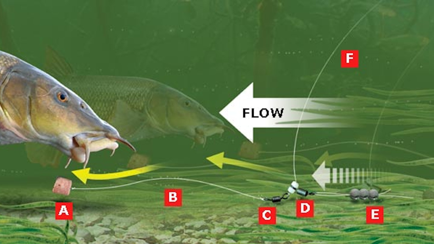 SNAG-FREE LINK LEGERING RIG FOR BIG BARBEL AND CHUB | Angling Times
