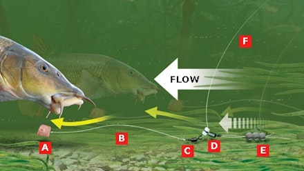 SNAG-FREE LINK LEGERING RIG FOR BIG BARBEL AND CHUB