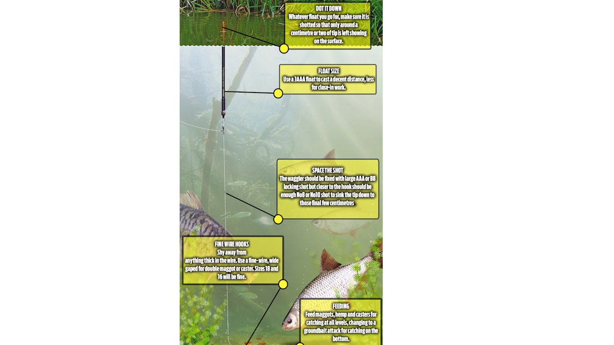 THREE PELLET WAGGLER RIGS TO FISH THIS WEEKEND! | Angling Times