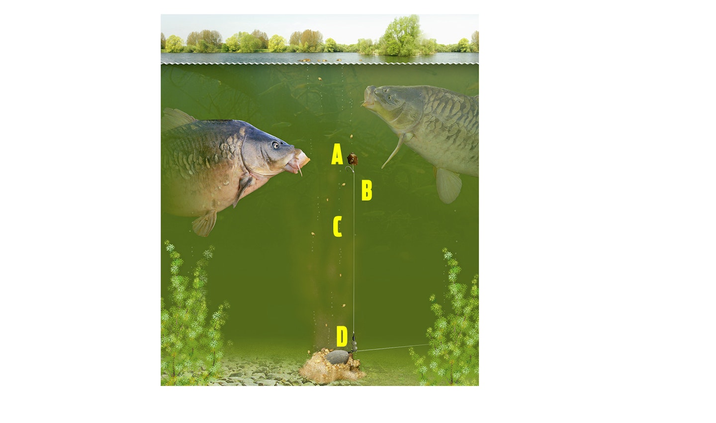 How to Use PVA to CATCH CARP (Effective!) 
