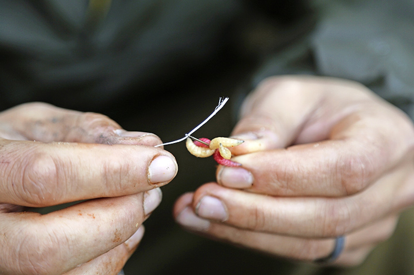 Thread one end of the bait floss through the eye of the sewing needle 