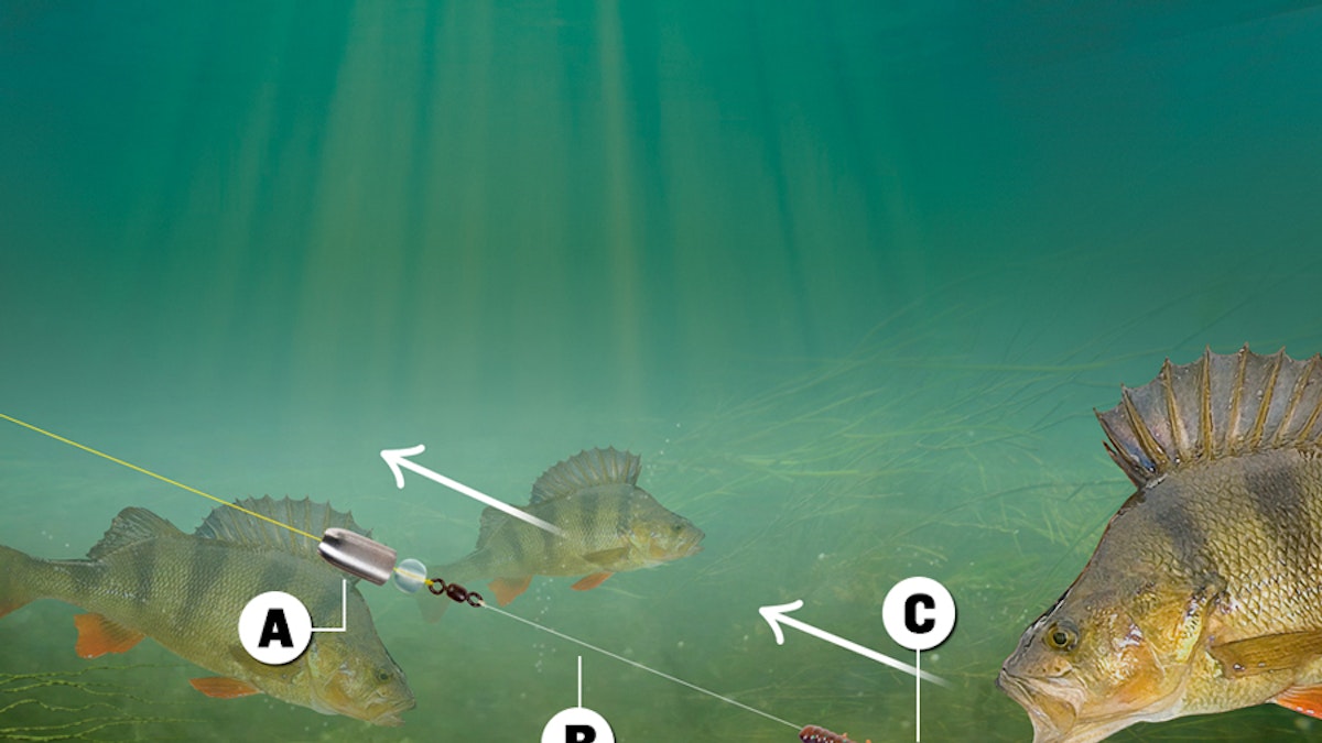HOW TO TIE THE CAROLINA RIG | Angling Times