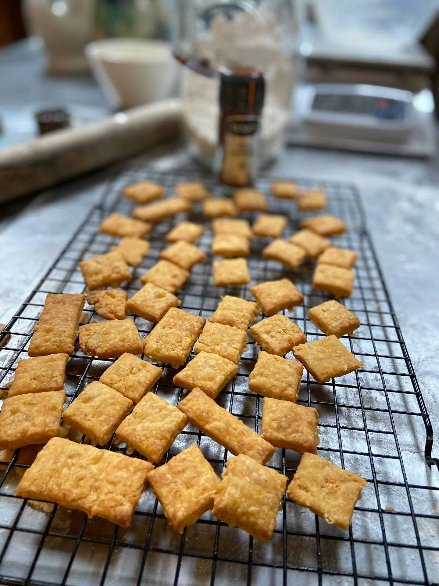 Cheesy biscuits