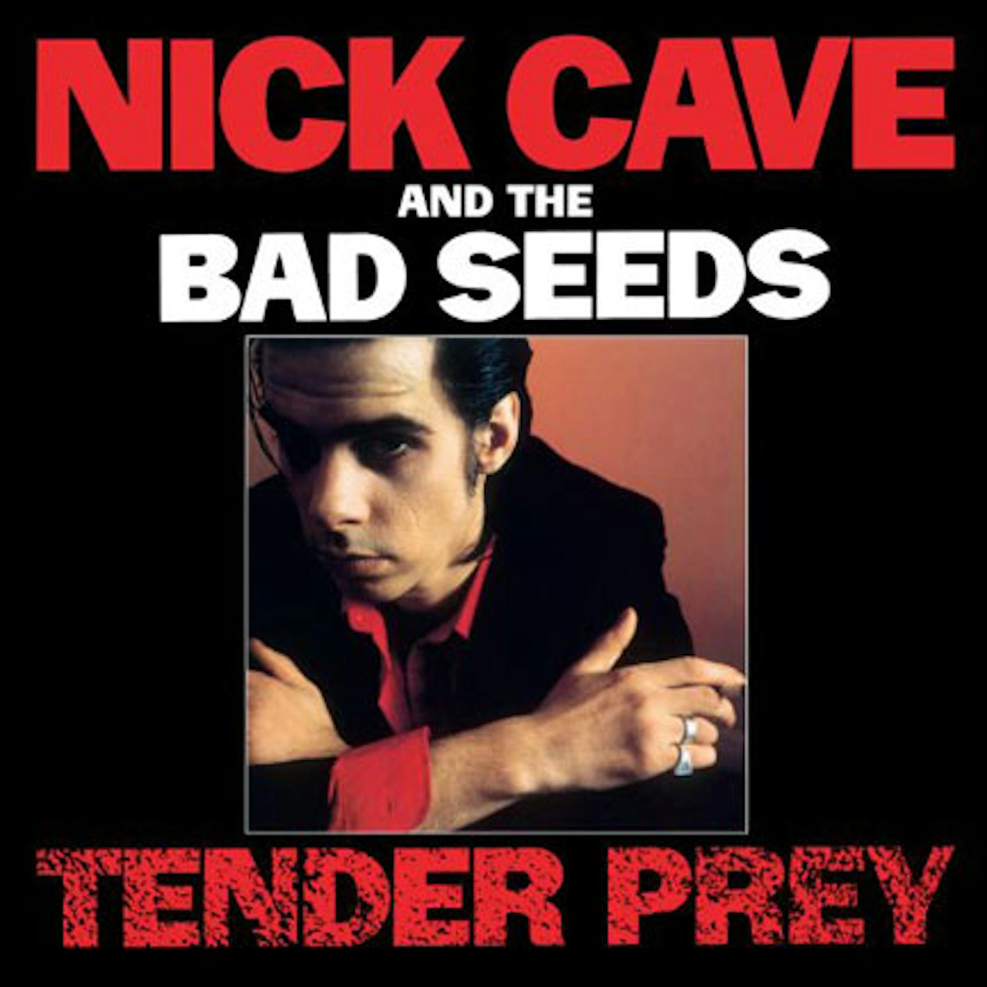 5. Tender Prey - Nick Cave & The Bad Seeds