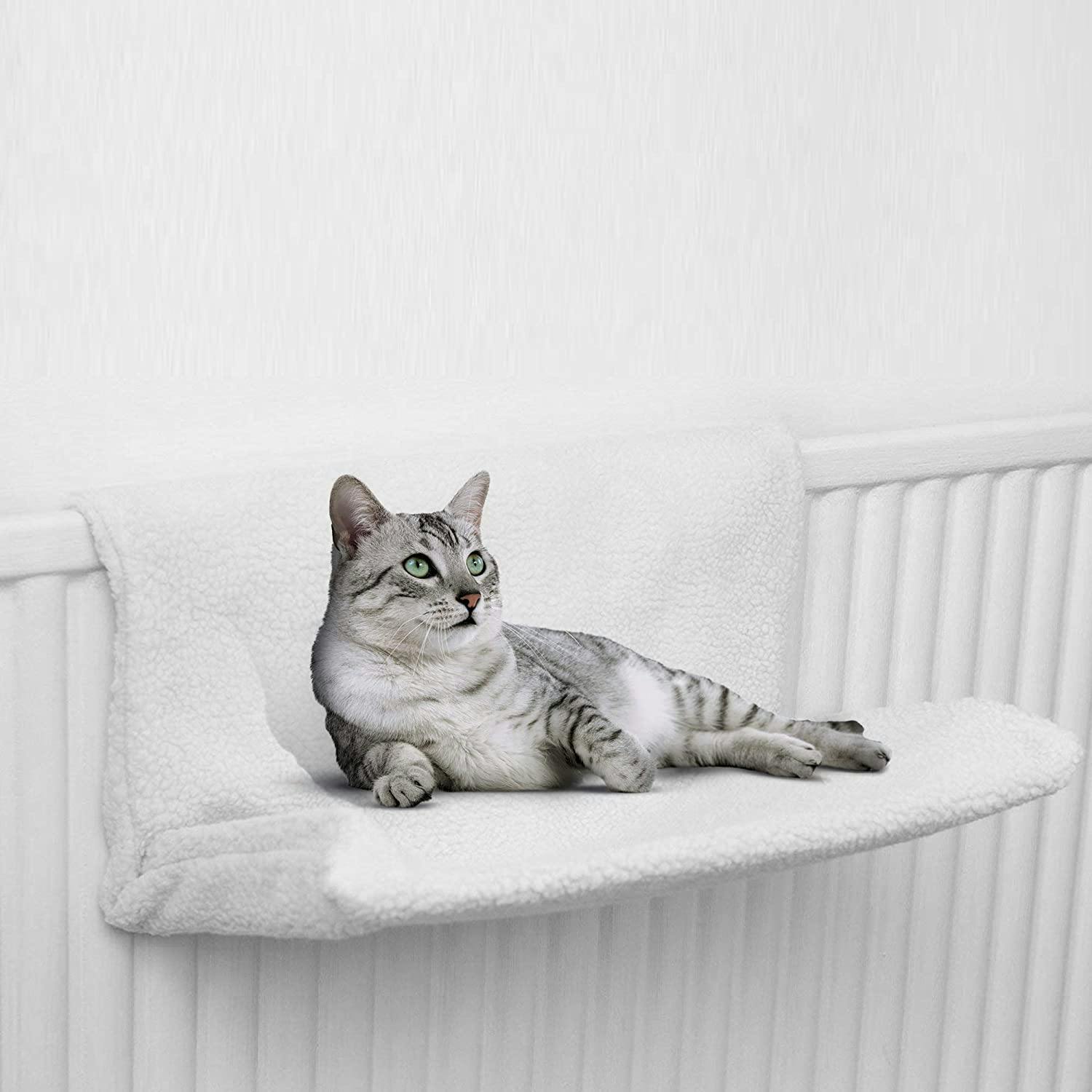 Best cat outlet radiator bed