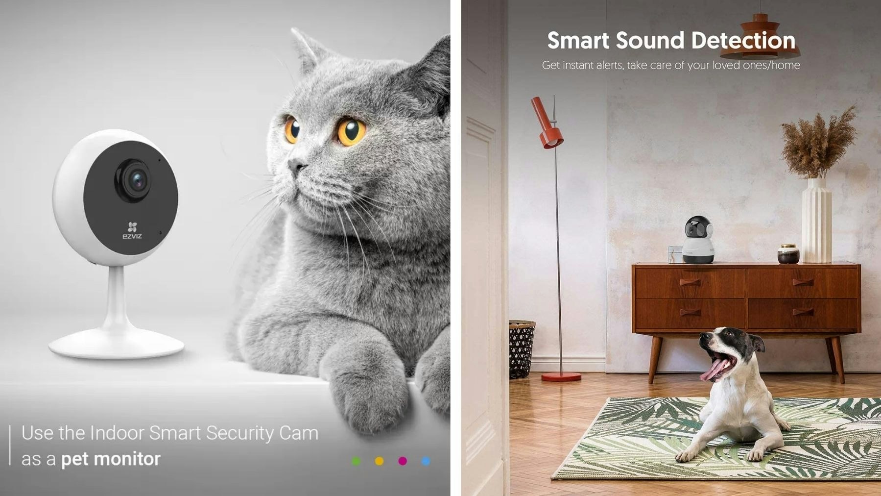 The Best Pet Cameras