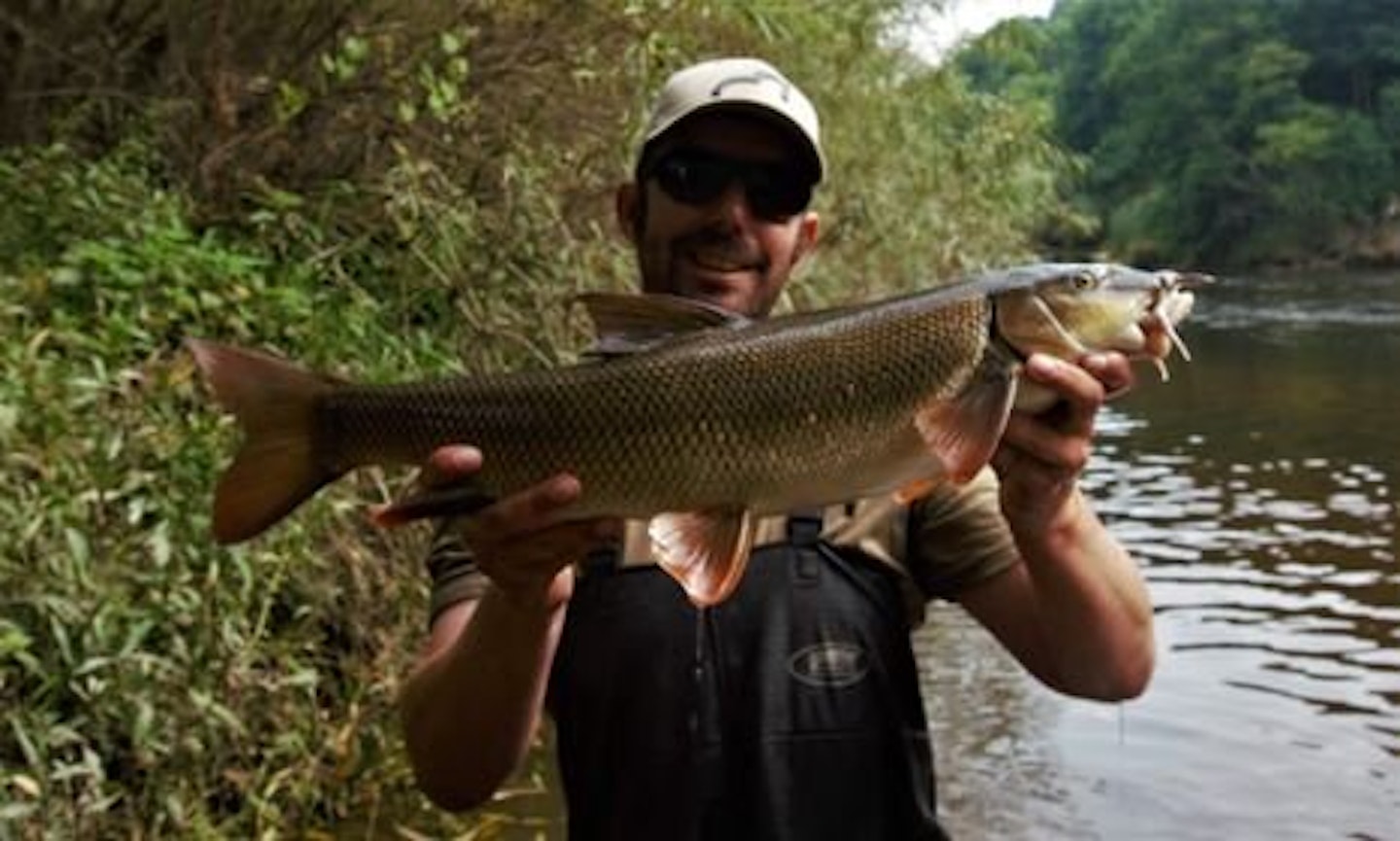 The fish were stacked up and weighed between 3-6lb