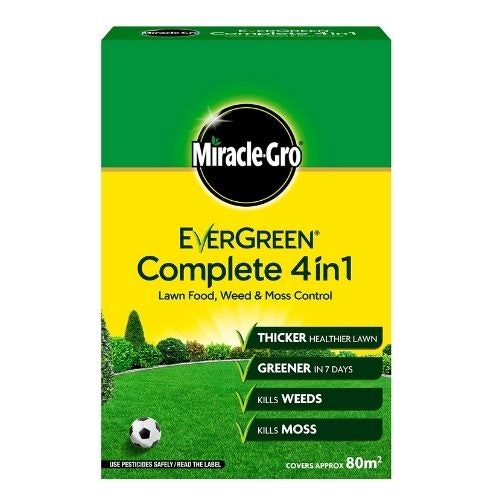 The best grass seed and when to plant them Life Yours