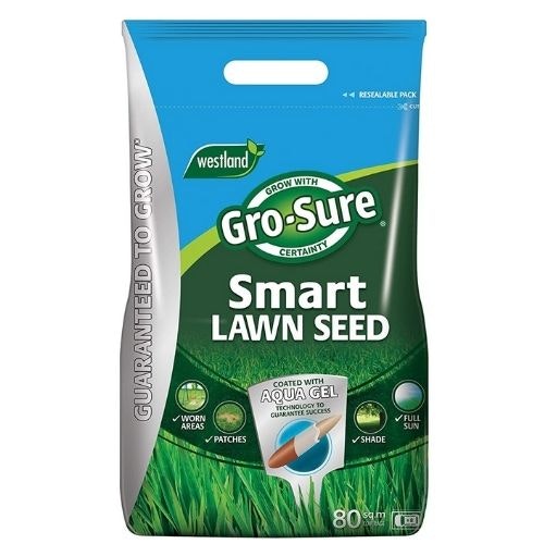 The best grass seed and when to plant them Life Yours