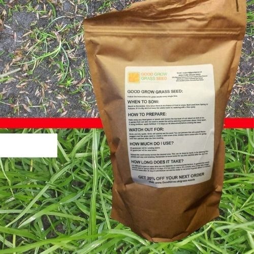 The best grass seed and when to plant them Life Yours
