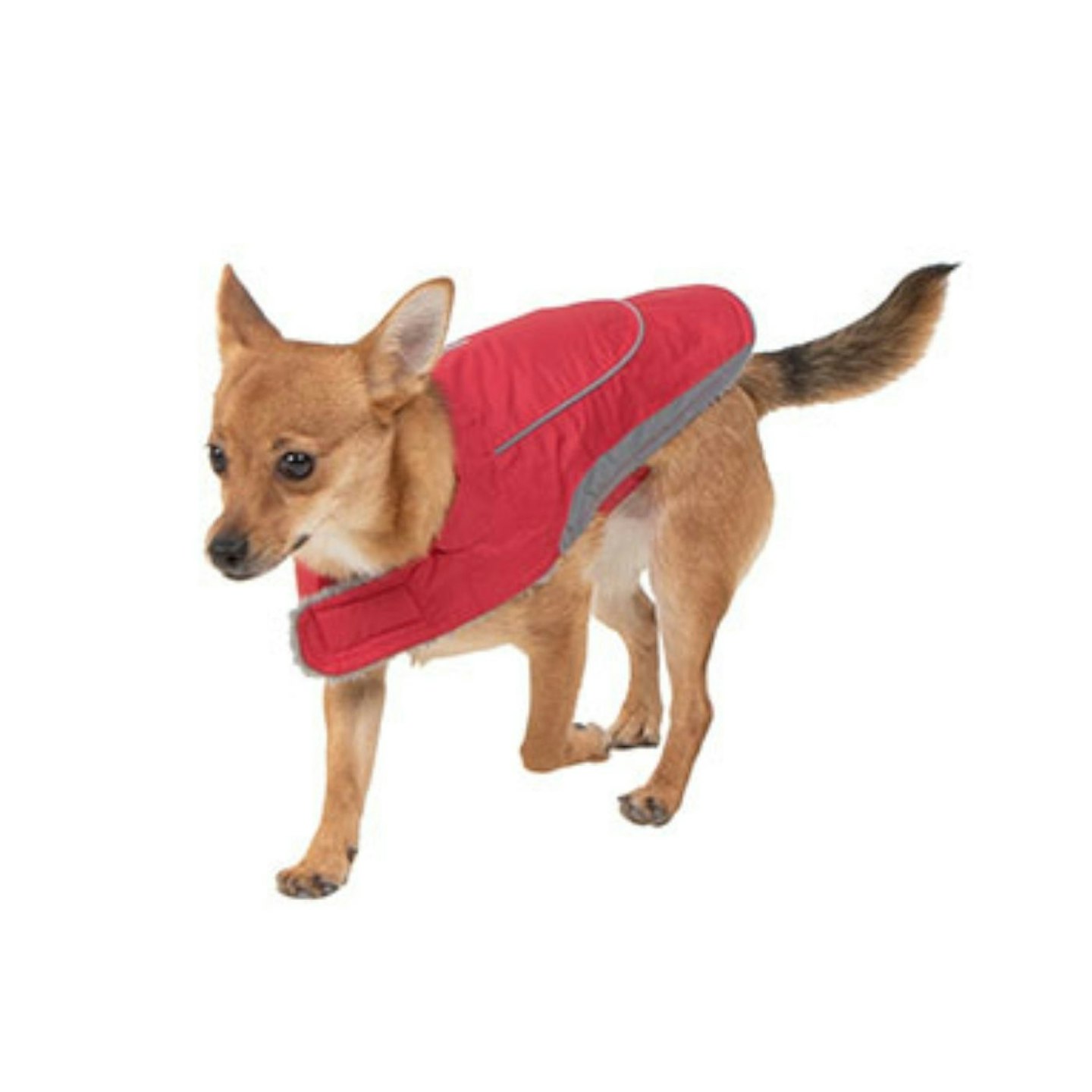 Ripstop Dog Jacket in Red